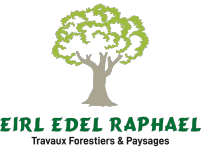 EDEL Raphaël