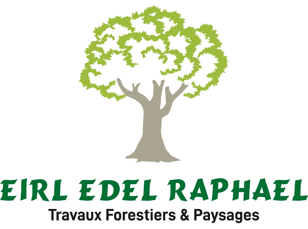 EDEL Raphaël