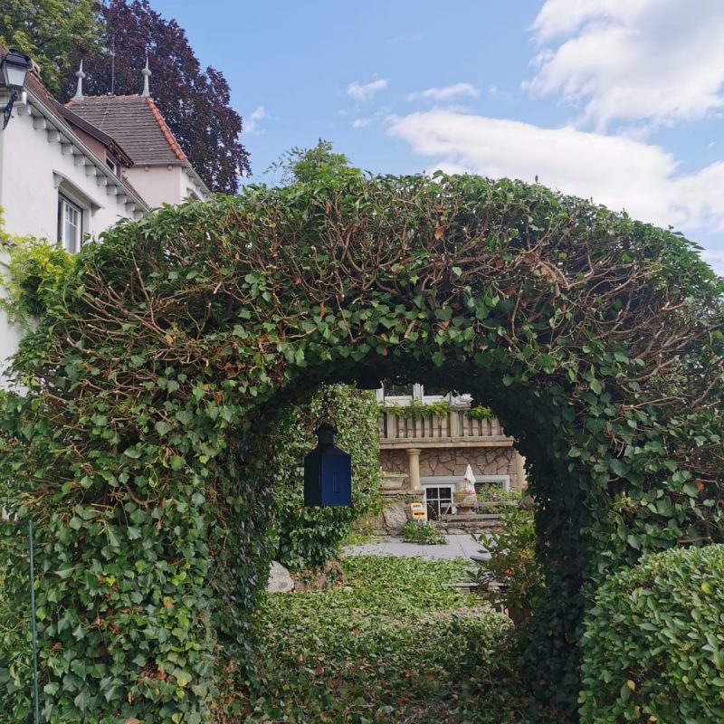 Entretien Hœœnheim 3