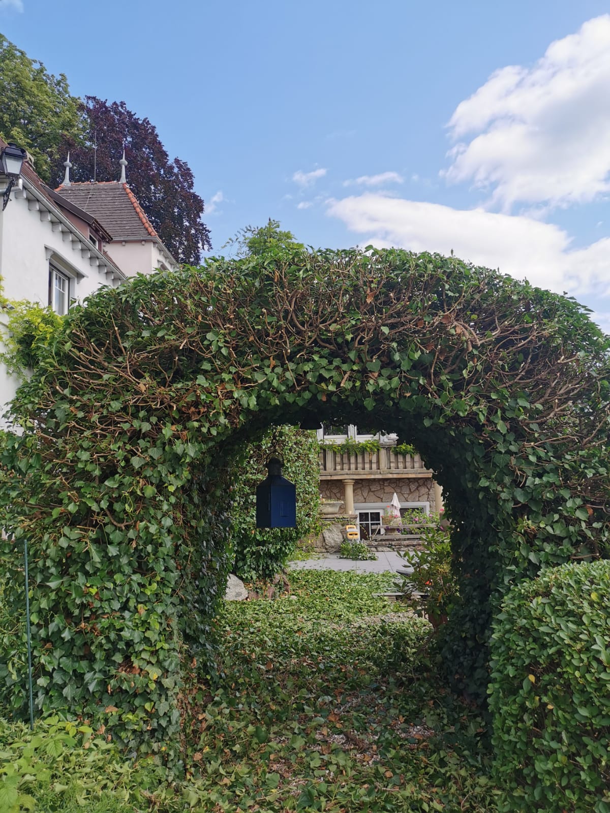 1628151467645 | EDEL Raphaël Entretien et réparation d’espaces verts aux alentours de Molsheim et Obernai Schiltigheim 1