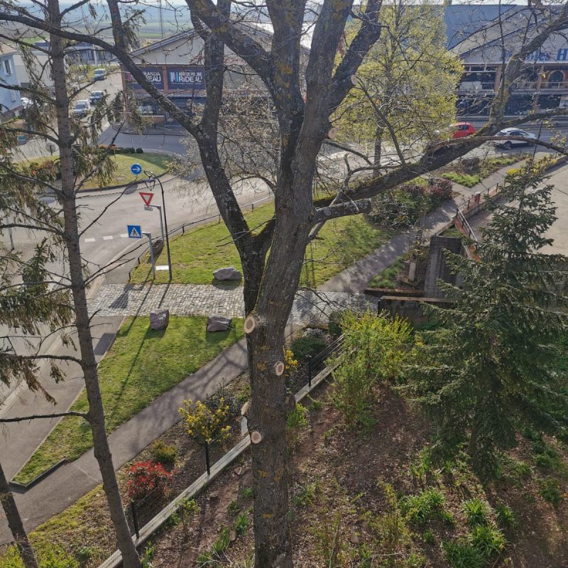 1628151467650 1 800X800 | EDEL Raphaël Photos page d’accueil Illkirch-Graffenstaden 1