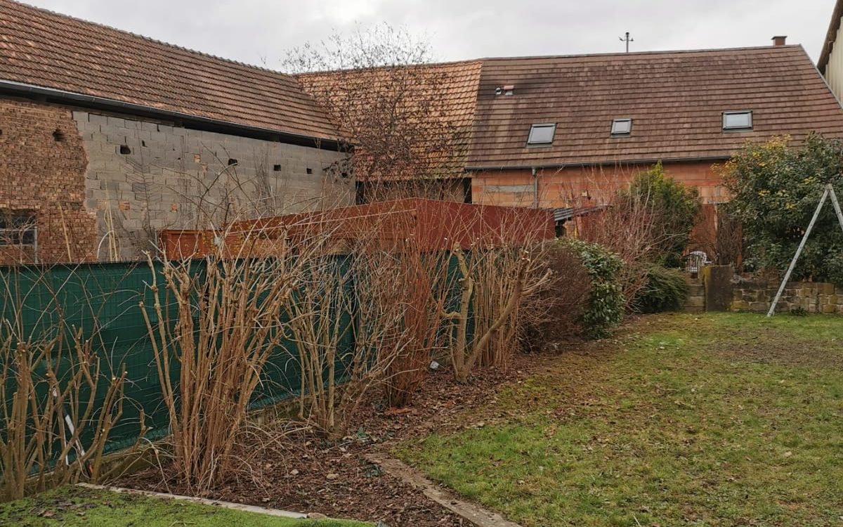 Comment entretenir son jardin en hiver ? Colmar
