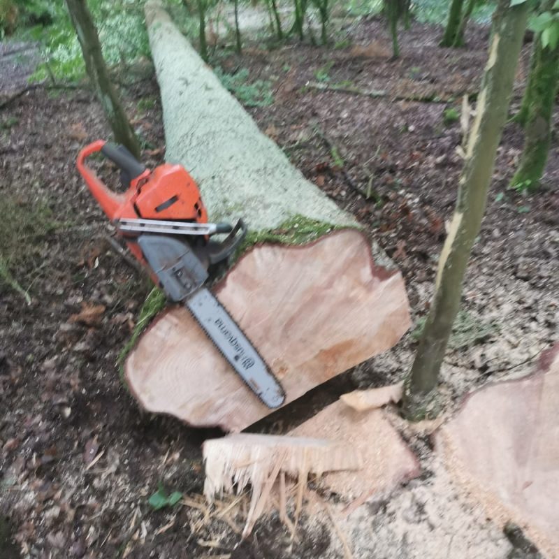 1628151467669 800X800 | EDEL Raphaël Photos page d’accueil Strasbourg 4