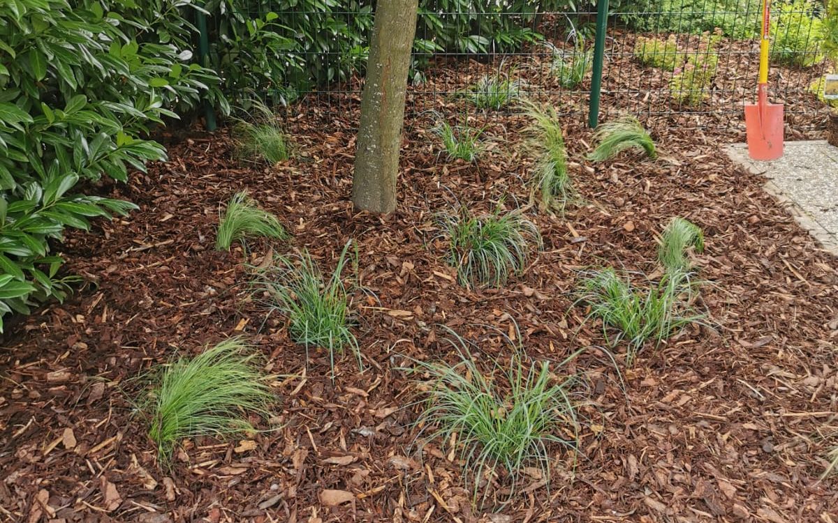 1628151467675 1200X750 | EDEL Raphaël Entretien et réparation d’espaces verts aux alentours de Molsheim et Obernai Sélestat