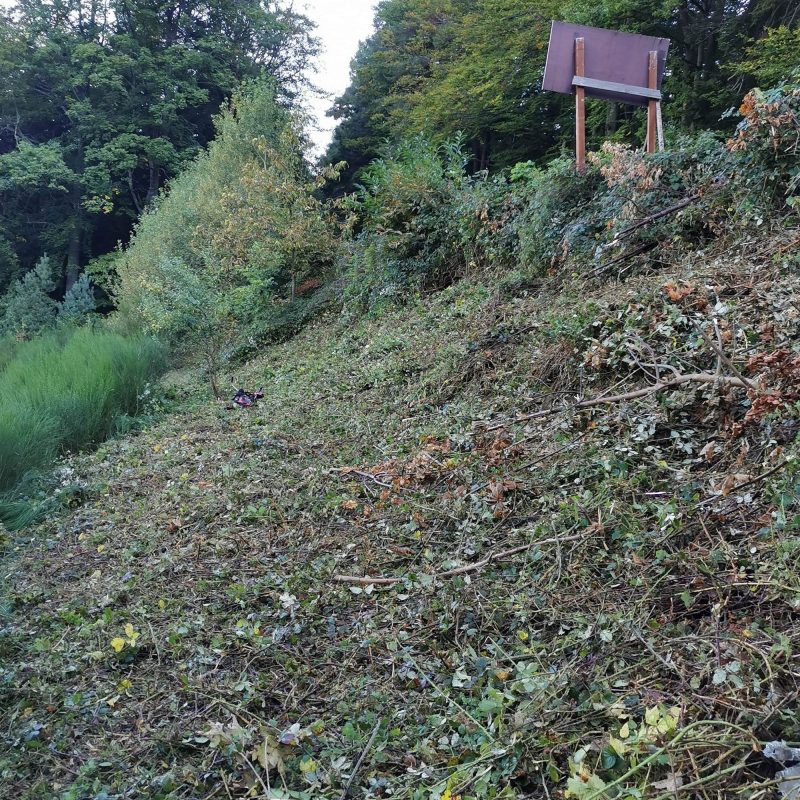 Entretien Bischheim 14