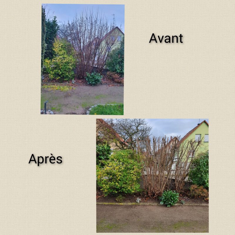 Entretien Erstein 19