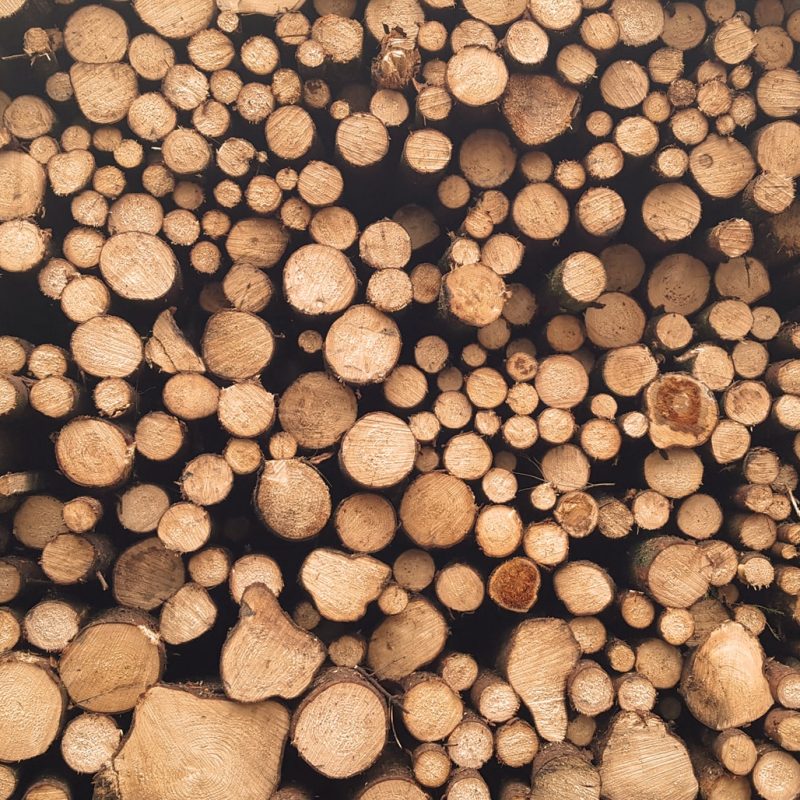 Elagage Ostwald 1