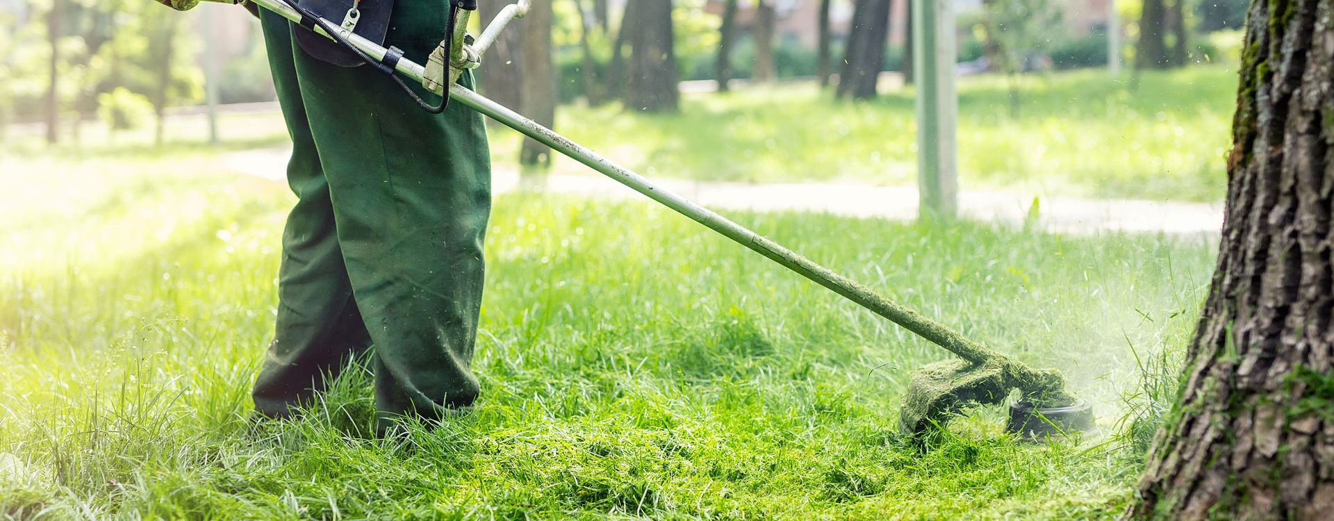 Comment couper un gazon trop haut ? Lingolsheim