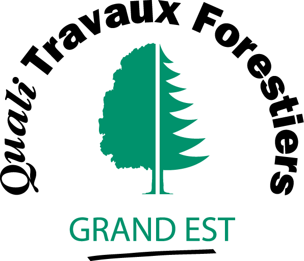 QUALI TRAVAUX GRAND EST | EDEL Raphaël Quali travaux forestier Colmar