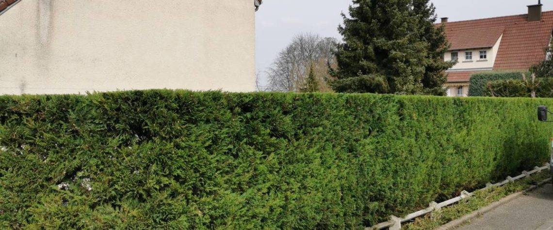 IMG_20220318_142243 1140X475 | EDEL Raphaël Entretien et réparation d’espaces verts aux alentours de Molsheim et Obernai Sélestat 0