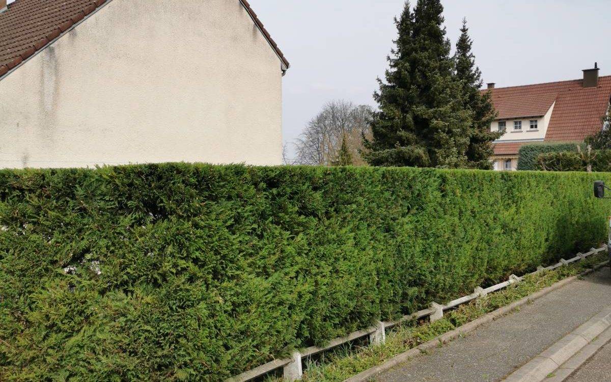 Pourquoi recourir à un paysagiste pour assurer l’entretien de son jardin ? Schiltigheim