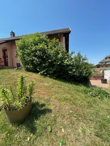 Taille diverses espace vert à Matzenheim Bischheim 0