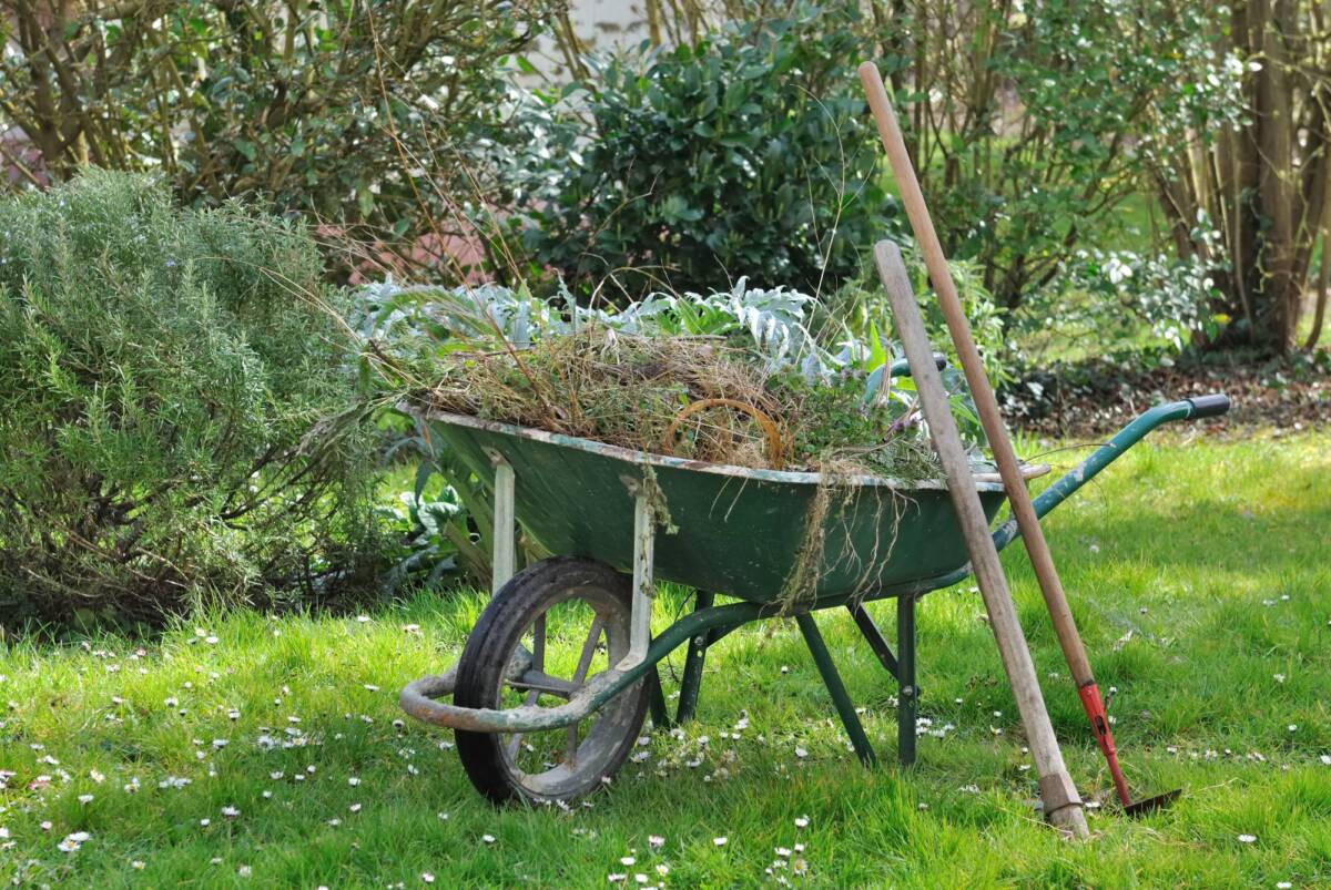 Comment réaliser un fauchage tardif ? Ostwald