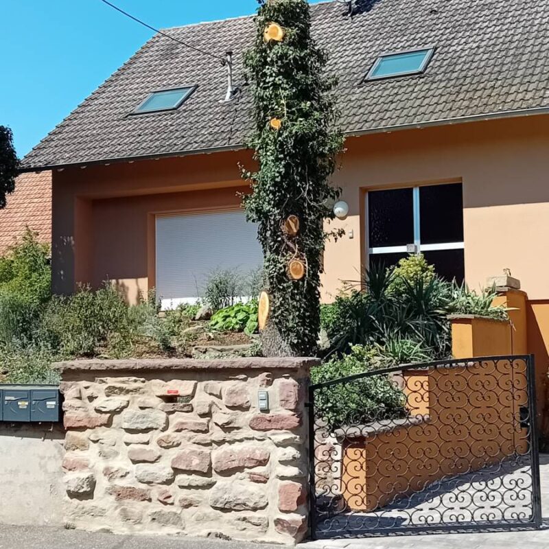 Abattage par démontage d&#8217;un cèdre à Westhouse Lingolsheim 3
