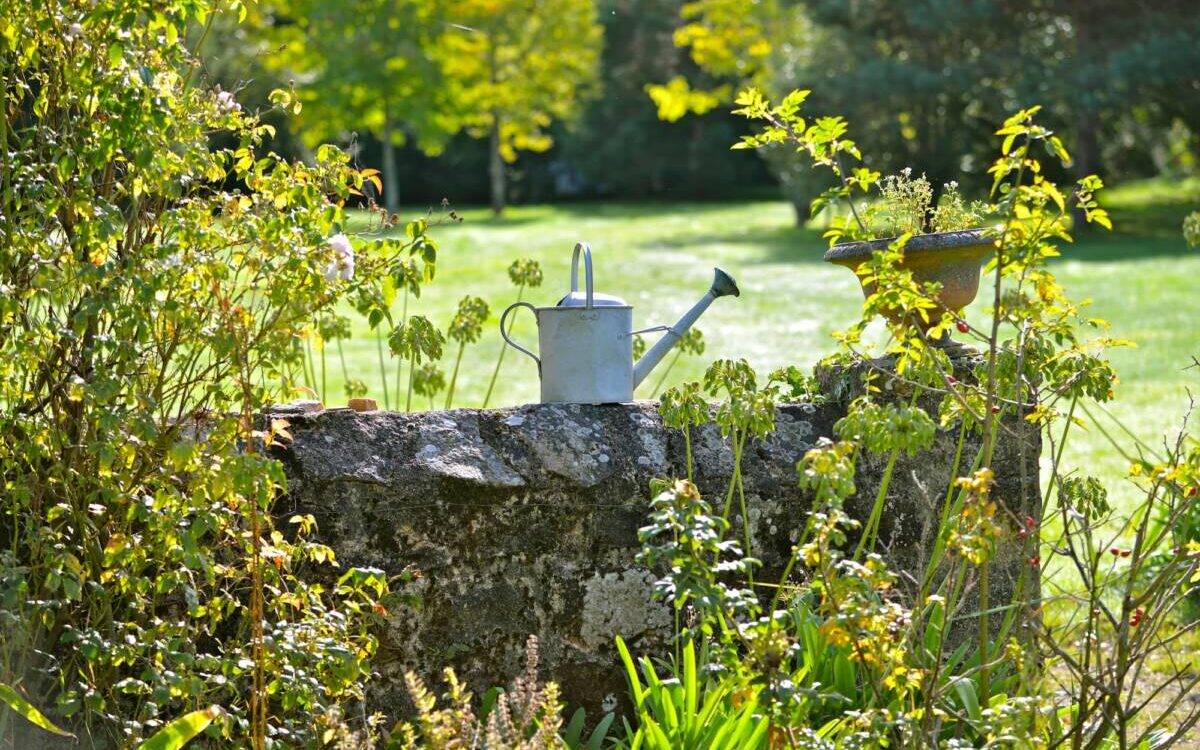 Comment ré-ensauvager son jardin ? Ostwald